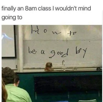 0k9pd3hgljs11.jpg