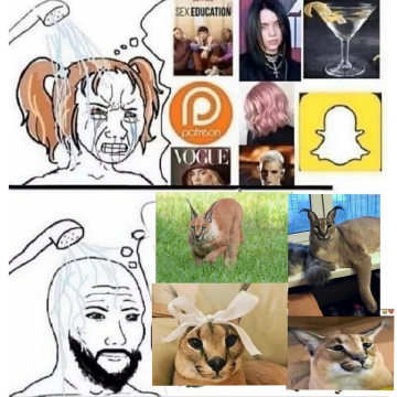 109990048_176040687422434_8367889897479803950_n.png