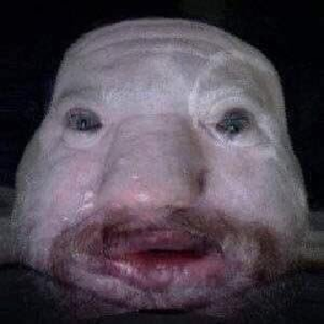 1561983074113.png