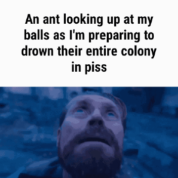 3caa822222394aead9b7d29865bfaaa56558a4e6dbab525be3.gif
