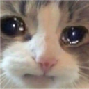 cryingcat2