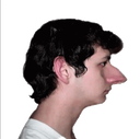 nosedev